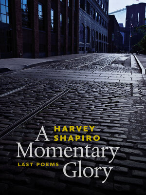 cover image of A Momentary Glory